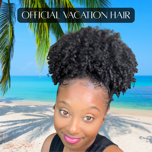 The Signature "Dreva Puff" Ponytail (3c/4a)